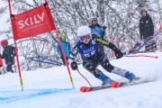 FIS Baltijas kauss 2023 5. posms, jauniešu un meistaru SG un GS, Foto: E.Lukšo