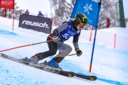 FIS Baltijas kauss 2023 5. posms, jauniešu un meistaru SG un GS, Foto: E.Lukšo