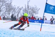 FIS Baltijas kauss 2023 5. posms, jauniešu un meistaru SG un GS, Foto: E.Lukšo