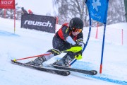 FIS Baltijas kauss 2023 5. posms, jauniešu un meistaru SG un GS, Foto: E.Lukšo