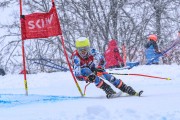 FIS Baltijas kauss 2023 5. posms, jauniešu un meistaru SG un GS, Foto: E.Lukšo