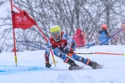 FIS Baltijas kauss 2023 5. posms, jauniešu un meistaru SG un GS, Foto: E.Lukšo