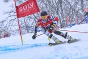 FIS Baltijas kauss 2023 5. posms, jauniešu un meistaru SG un GS, Foto: E.Lukšo