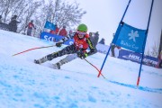 FIS Baltijas kauss 2023 5. posms, jauniešu un meistaru SG un GS, Foto: E.Lukšo