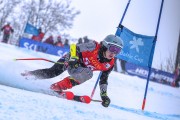 FIS Baltijas kauss 2023 5. posms, jauniešu un meistaru SG un GS, Foto: E.Lukšo