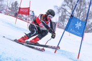 FIS Baltijas kauss 2023 5. posms, jauniešu un meistaru SG un GS, Foto: E.Lukšo