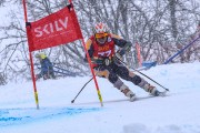 FIS Baltijas kauss 2023 5. posms, jauniešu un meistaru SG un GS, Foto: E.Lukšo