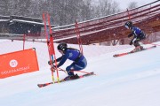 FIS Baltijas kauss 2023 5. posms, jauniešu un meistaru PSL, Foto: E.Lukšo