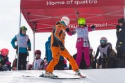 Vilciņa kauss, 4.posms – Ski-box balvas izcīņa