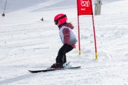 Vilciņa kauss, 4.posms – Ski-box balvas izcīņa