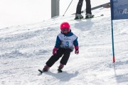 Vilciņa kauss, 4.posms – Ski-box balvas izcīņa