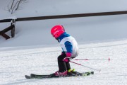 Vilciņa kauss, 4.posms – Ski-box balvas izcīņa