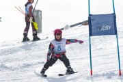 Vilciņa kauss, 4.posms – Ski-box balvas izcīņa