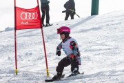 Vilciņa kauss, 4.posms – Ski-box balvas izcīņa