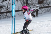 Vilciņa kauss, 4.posms – Ski-box balvas izcīņa