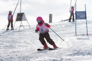 Vilciņa kauss, 4.posms – Ski-box balvas izcīņa