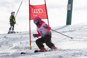 Vilciņa kauss, 4.posms – Ski-box balvas izcīņa