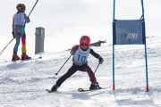 Vilciņa kauss, 4.posms – Ski-box balvas izcīņa