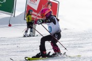 Vilciņa kauss, 4.posms – Ski-box balvas izcīņa