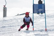 Vilciņa kauss, 4.posms – Ski-box balvas izcīņa