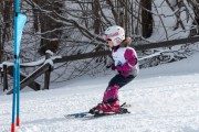 Vilciņa kauss, 4.posms – Ski-box balvas izcīņa