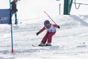 Vilciņa kauss, 4.posms – Ski-box balvas izcīņa