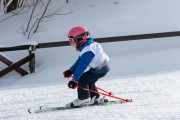 Vilciņa kauss, 4.posms – Ski-box balvas izcīņa