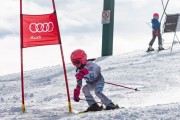 Vilciņa kauss, 4.posms – Ski-box balvas izcīņa