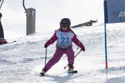 Vilciņa kauss, 4.posms – Ski-box balvas izcīņa