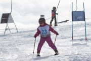 Vilciņa kauss, 4.posms – Ski-box balvas izcīņa