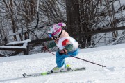 Vilciņa kauss, 4.posms – Ski-box balvas izcīņa