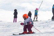 Vilciņa kauss, 4.posms – Ski-box balvas izcīņa