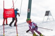 Vilciņa kauss, 4.posms – Ski-box balvas izcīņa