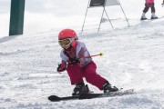 Vilciņa kauss, 4.posms – Ski-box balvas izcīņa