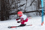 Vilciņa kauss, 4.posms – Ski-box balvas izcīņa