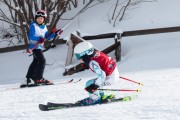 Vilciņa kauss, 4.posms – Ski-box balvas izcīņa