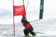 Vilciņa kauss, 4.posms – Ski-box balvas izcīņa