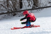 Vilciņa kauss, 4.posms – Ski-box balvas izcīņa