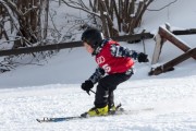 Vilciņa kauss, 4.posms – Ski-box balvas izcīņa