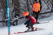 Vilciņa kauss, 4.posms – Ski-box balvas izcīņa