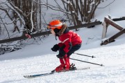 Vilciņa kauss, 4.posms – Ski-box balvas izcīņa