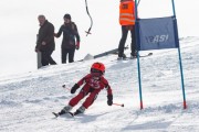 Vilciņa kauss, 4.posms – Ski-box balvas izcīņa