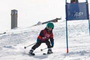 Vilciņa kauss, 4.posms – Ski-box balvas izcīņa