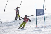 Vilciņa kauss, 4.posms – Ski-box balvas izcīņa