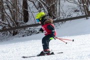 Vilciņa kauss, 4.posms – Ski-box balvas izcīņa