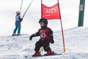 Vilciņa kauss, 4.posms – Ski-box balvas izcīņa