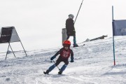 Vilciņa kauss, 4.posms – Ski-box balvas izcīņa