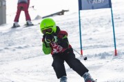 Vilciņa kauss, 4.posms – Ski-box balvas izcīņa