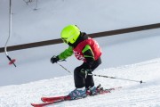 Vilciņa kauss, 4.posms – Ski-box balvas izcīņa