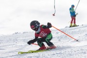 Vilciņa kauss, 4.posms – Ski-box balvas izcīņa